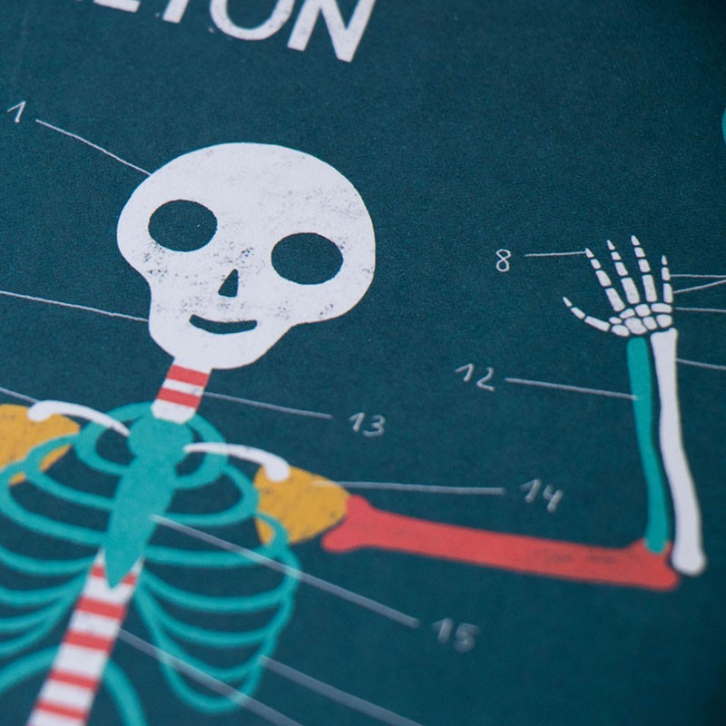 Juego didáctico del cuerpo humano